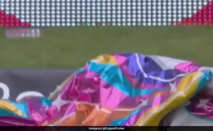 'Unicorn Balloon Stops Play' In 2nd England vs West Indies Test, Crowd Reaction Is Pure Gold. Watch