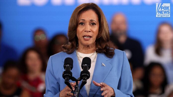 Biden-Harris push for electric vehicles suffers blow after Ford backtracks EV plan: 'unwanted and unworkable'