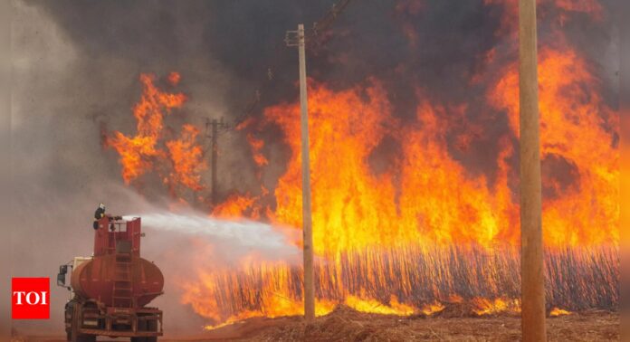 Brazil waging 'war' on wildfires in crowded Sao Paulo state