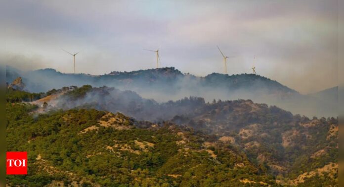 Forest fires in Turkey under control: minister