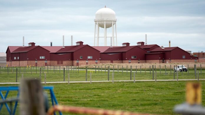 How Iowa scientists are working to stop the bird flu outbreak infecting US cows