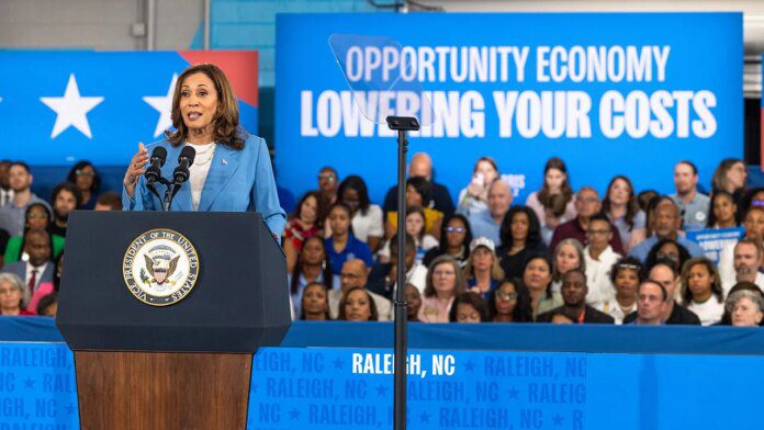 Economists pour cold water on Harris' new tax proposal for small businesses