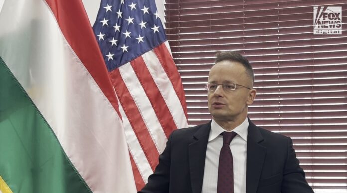 Hungarian FM recalls strong Trump admin 'experience,' claims 'our hope is all' on former president