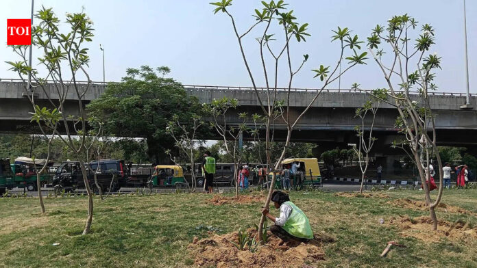 1.2L shrubs, 20k trees in monsoon: NH-8 to get greener from Signature Towers to Rajiv Chowk in Gurgaon | Gurgaon News