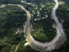 Brazil: Brazil reports drop in Amazon deforestation rates, pushing back on US tariff accusations
