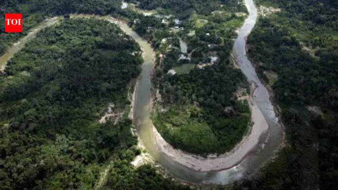 Brazil: Brazil reports drop in Amazon deforestation rates, pushing back on US tariff accusations