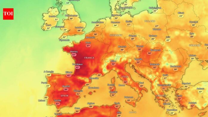 Europe Heatwave: Heat dome over Europe brings travel chaos, health alerts and wildlife stress