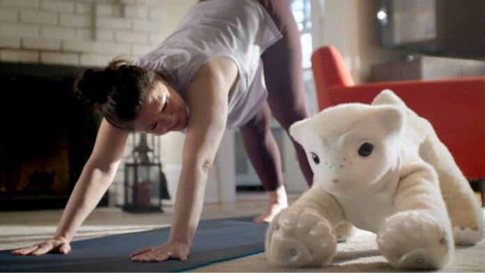 Roomba creator Colin Angle unveils emotionally aware pet-like home robot