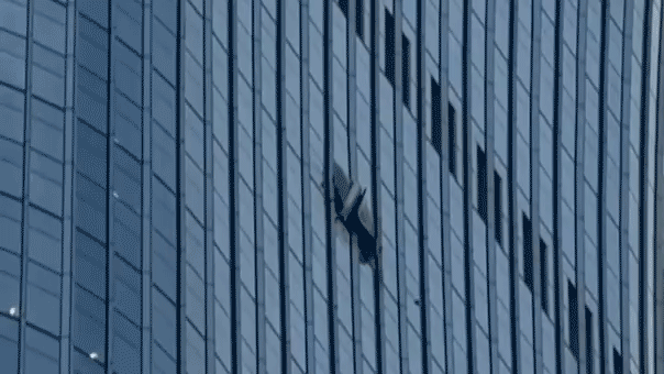 Small plane crashes into Beijing's tallest skyscraper, CITIC Tower