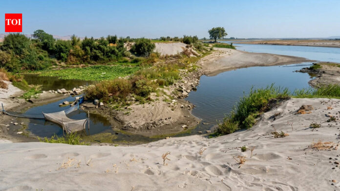 Why Yamuna Is Now Brownish Narrow Stream | Delhi News