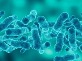 Legionnaires' disease kills one in Manhattan's Upper East Side outbreak