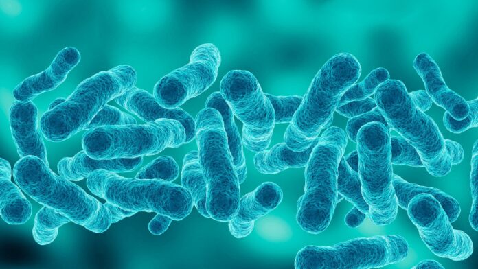 Legionnaires' disease kills one in Manhattan's Upper East Side outbreak