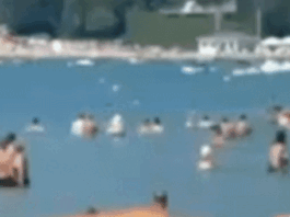 Crowded Russian beach hit in alleged Ukrainian drone attack Crowded Russian beach hit in alleged Ukrainian drone attack