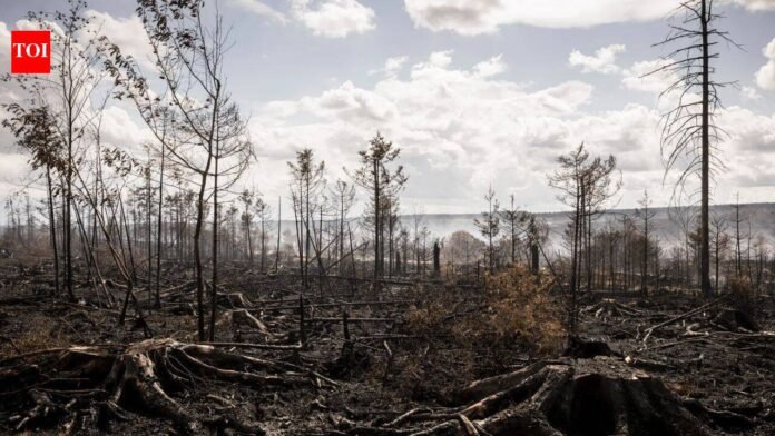 European wildfires expose hidden threat of buried WWI, WWII bombs and mines