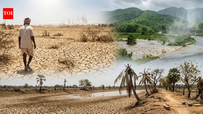 Heat, drought & rainfall extremes expanding across India; northwest emerging as heat hotspot: Study | Pune News