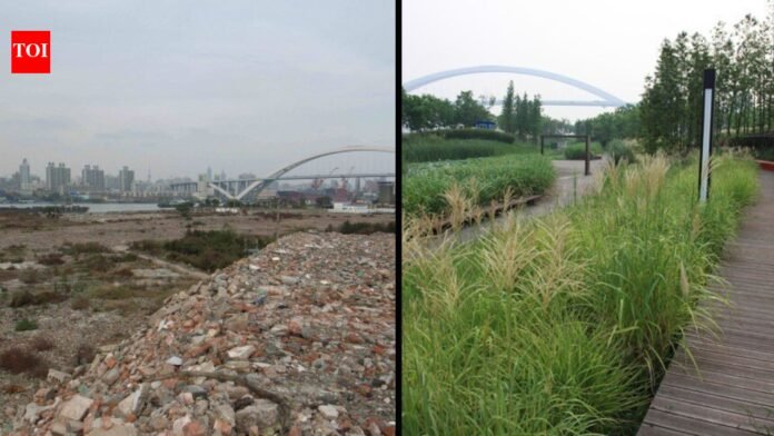 In 2010, Shanghai turned a polluted industrial brownfield into Houtan Park; its wetlands now clean up to 634,000 gallons of river water a day
