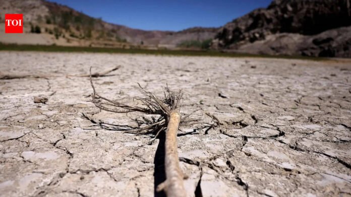 Unccd Meet: COP17: New global architecture for drought resilience launched at UNCCD meet | India News
