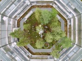 Scientists built 10 giant chambers around a Minnesota peat bog and warmed it by up to 9°C; within 3 years, every warmed plot switched from storing carbon to releasing it Scientists built 10 giant chambers around a Minnesota peat bog and warmed it by up to 9°C; within 3 years, every warmed plot switched from storing carbon to releasing it