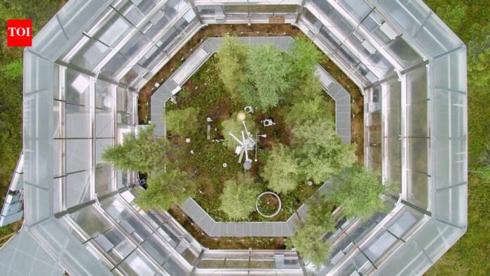 Scientists built 10 giant chambers around a Minnesota peat bog and warmed it by up to 9°C; within 3 years, every warmed plot switched from storing carbon to releasing it