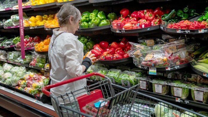 Ahold Delhaize cybersecurity incident disrupts Stop & Shop, Food Lion