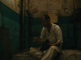 Bhed Bakri Bhoot: No toilet humour this; a lavatory becomes the silent spectator of India’s ailments in this sharp commentary Bhed Bakri Bhoot: No toilet humour this; a lavatory becomes the silent spectator of India's ailments in this sharp commentary