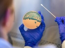 Shigella antibiotic resistance rising as drug-resistant strains grow